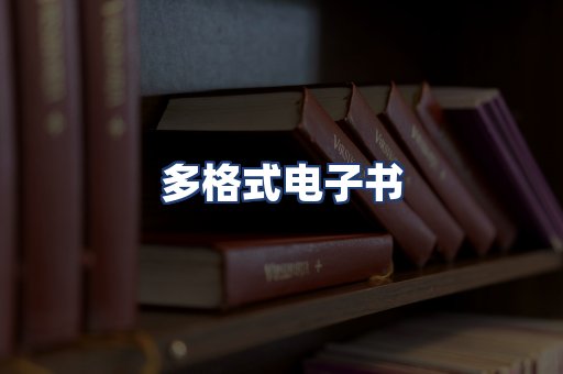 多格式电子书